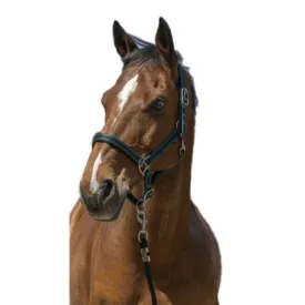 norton-equestrian-satine-grimmor
