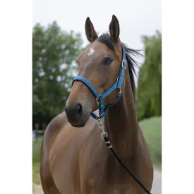 norton-equestrian-satine-grimmor