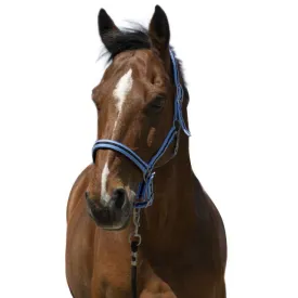 norton-equestrian-satine-grimmor