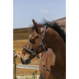 norton-equestrian-zari-halfter