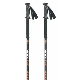masters-bastons-skitour