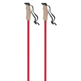 atomic-bastons-amt-carbon
