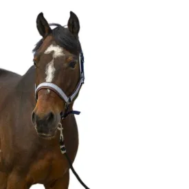 equitheme-cabrestro-check-nylon