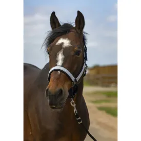 equitheme-check-nylon-grimmor