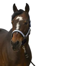 equitheme-check-nylon-riimu