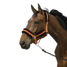 equitheme-mouton-nylon-halter