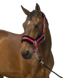 equitheme-mouton-nylon-굴레