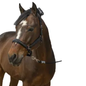 equitheme-strass-nylon-굴레