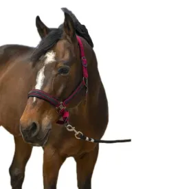 equitheme-strass-nylon-grime