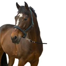 equitheme-strass-nylon-grimmor