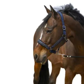 equitheme-strass-nylon-grimmor