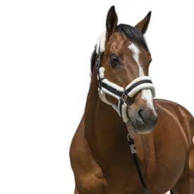 norton-equestrian-cosy-grime