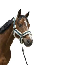 norton-equestrian-licol-cosy