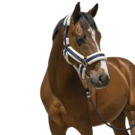 norton-equestrian-cosy-grimmor