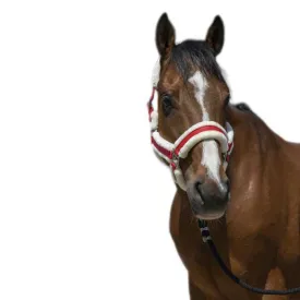 norton-equestrian-cabrestro-cosy
