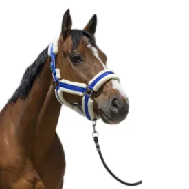 norton-equestrian-cosy-grimmor