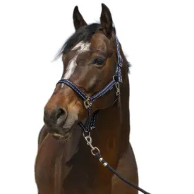norton-equestrian-cabrestro-grooming