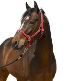norton-equestrian-grooming-grimmor
