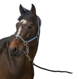 norton-equestrian-nylon-soft-halfter