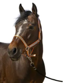 norton-equestrian-nylon-soft-halfter