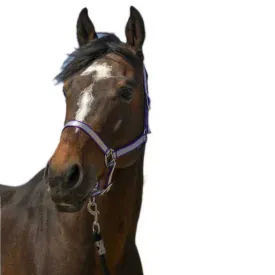 norton-equestrian-cabrestro-nylon-soft