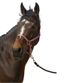 norton-equestrian-nylon-soft-halfter