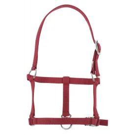 riding-world-halter