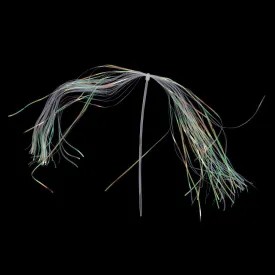 baetis-cames-lateral-scale-flashabou