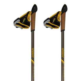asolo-instructor-carbon-2-dlx-poles