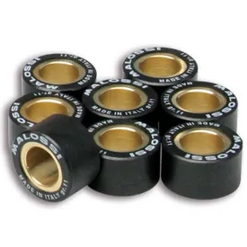 malossi-66-9919.l0-variatorruller
