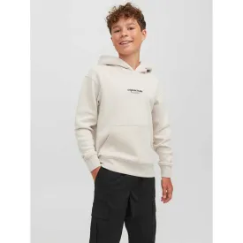 jack---jones-sudadera-con-capucha-vesterbro