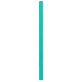 softee-pal-dslalom-pvc-70-cm