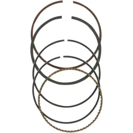 wiseco-segment-de-pisto-w2953xg