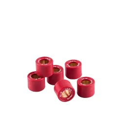 jasil-6068003-variator-rollers