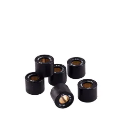 jasil-6069004-variator-rollers