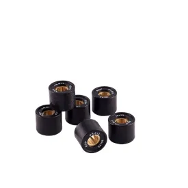 jasil-6069011-variator-rollers