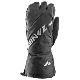 zanier-alpine-pro-grip-gore-tex--handsker