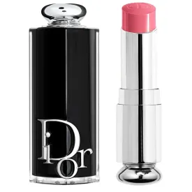 dior-addict-n--373-lip-liner