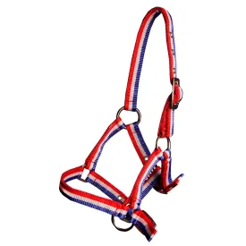 horka-basic-foal-halfter