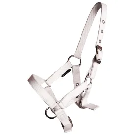 horka-basic-foal-굴레