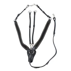 horka-peitoral-de-cavallo