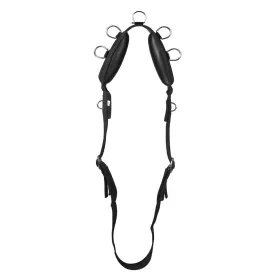 horka-cingla-lunging