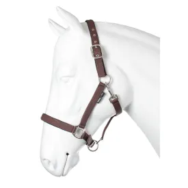 horka-nubuck-halfter