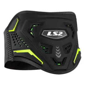 ls2-koku-pasek-nerkowy