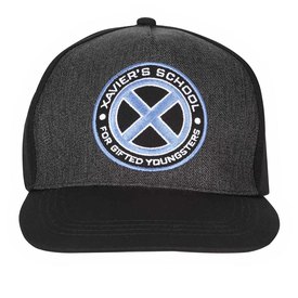 Heroes Marvel Comics X-Men Xavier Logo Cap