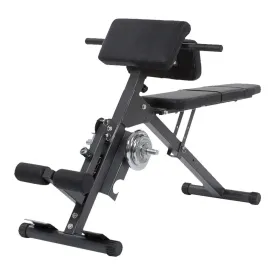 finnlo-3869-abdominal-back-bench