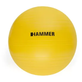 finnlo-gym-55-cm-bal