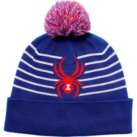 spyder-gorro-icebox