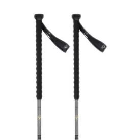 rossignol-escaper-tour-poles