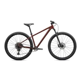 specialized-vtt-rockhopper-expert-29-sx-eagle-2023